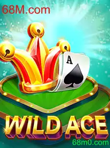 Descobrindo o Mundo de WildAce: Um Guia Completo Para Iniciantes